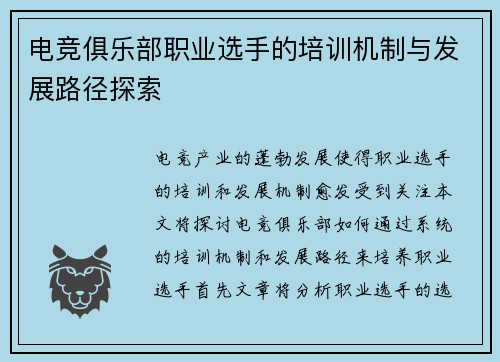 电竞俱乐部职业选手的培训机制与发展路径探索