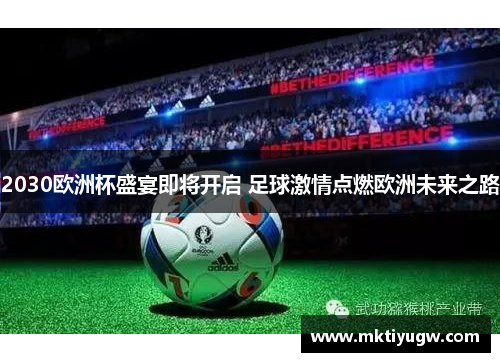 2030欧洲杯盛宴即将开启 足球激情点燃欧洲未来之路