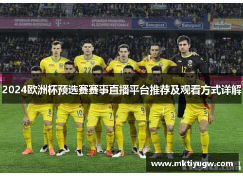 2024欧洲杯预选赛赛事直播平台推荐及观看方式详解