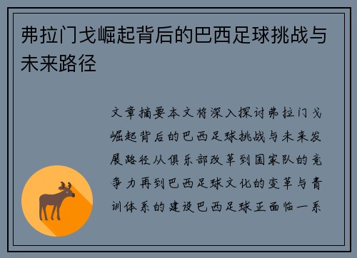 弗拉门戈崛起背后的巴西足球挑战与未来路径