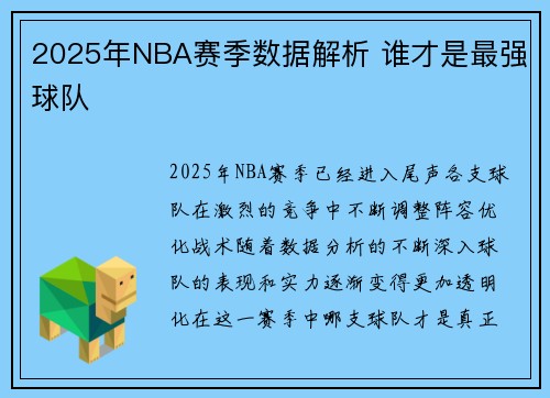 2025年NBA赛季数据解析 谁才是最强球队
