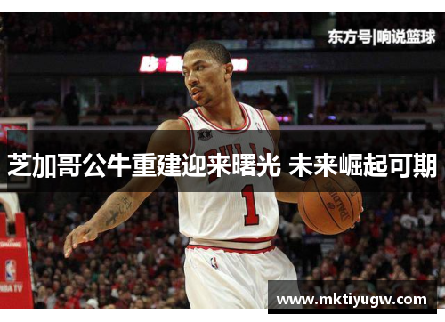 芝加哥公牛重建迎来曙光 未来崛起可期